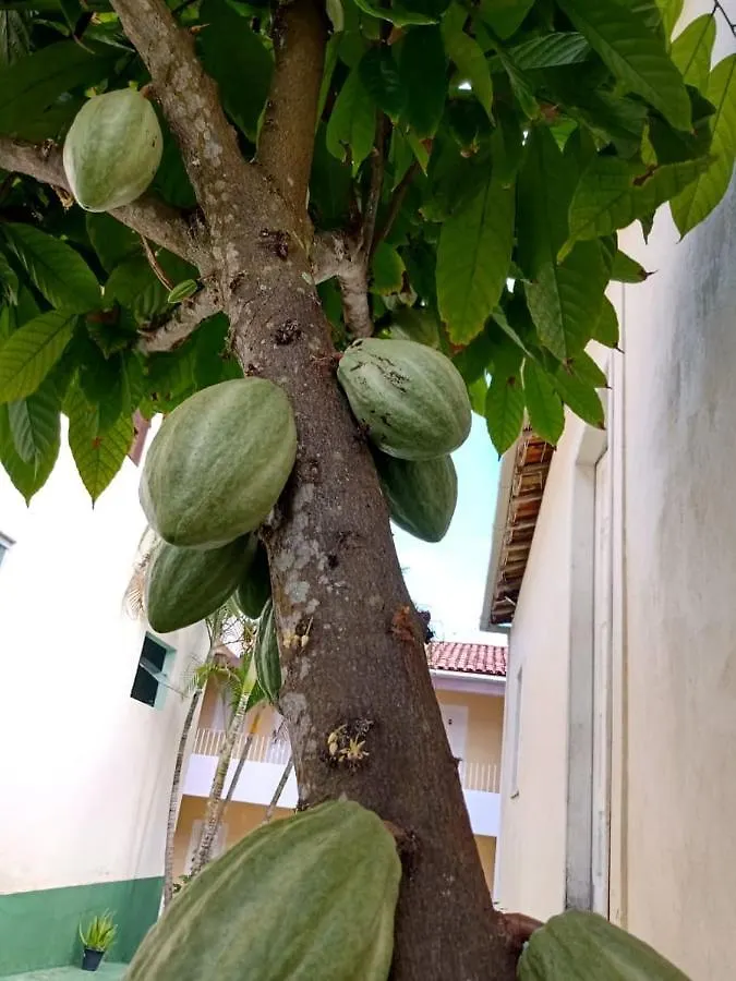 Pousada A Gaivota Porto Seguro Brazílie